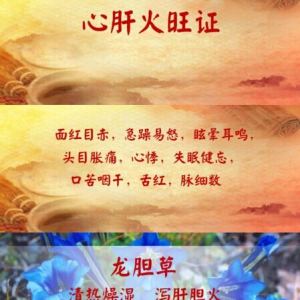 《养生堂》20170328心肝火旺证、芹菜拌海带、牡蛎鲫鱼汤、甘麦大枣百合饮