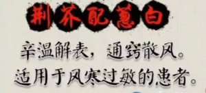 《健康之路》20170412张雪亮《中医汗法抗过敏》风热过敏、风寒过敏、寒热不显的过敏