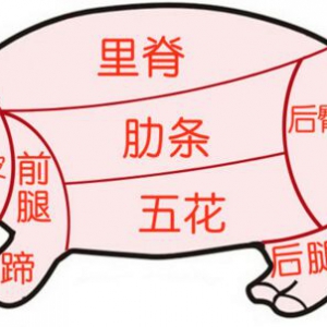 《养生堂》20170503孟化《搬走致命脂肪》锻炼燃脂方法