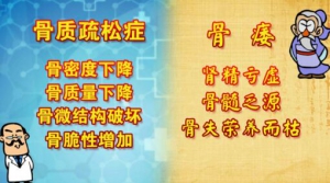 《养生堂》20170507阎小萍《养肾壮骨不服老》滋补凉菜、补肾壮骨的药膳