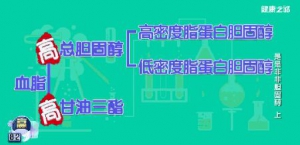 《健康之路》20170513赵迎《是是非非胆固醇（上）》心脑血管杀手——胆固醇