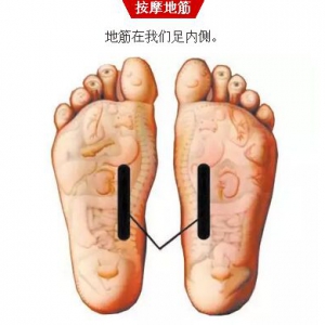 《健康之路》20170523丁义江《中医对症止腹泻》腹泻的原因与调理