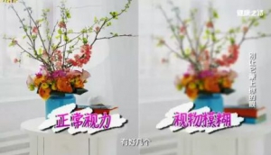 《健康之路》20170606郭晓萍《别让它蒙上你的眼》白内障的症状与治疗