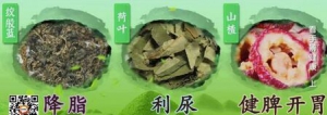 《健康之路》20170607刘剑锋《看手相辨健康》（上）