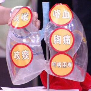 《养生堂》20170609王辰、陈静瑜《“换”回生命新希望》肺部疾病