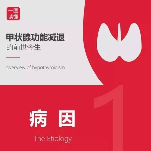 图解：甲状腺功能减退