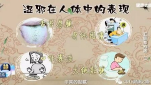 《健康之路》20170618毛炜《五脏都怕啥》（三）脾胃、湿邪、脾胃虚寒