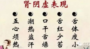 《健康之路》20170620毛炜《五脏都怕啥》（五）肾的调理与保护