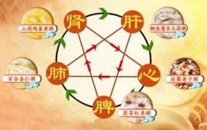 《养生堂》20170709《国医大师的养生经—中国式养生》