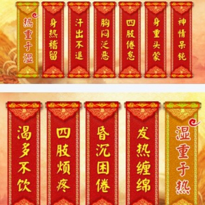 《养生堂》20170718《打破三伏天养生谣言》三伏天的养生法宝
