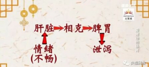 《健康之路》20170725吴兵《爱激动的肠胃》肠易激综合征