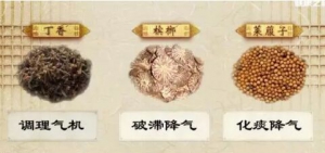 《健康之路》20170917贾立群《小麻烦 不吃药（下）》尿频、腹泻、便秘