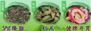 《健康之路》20170918《手上的健康密码（上）》看手掌颜色判断心肝脾肺肾的现状