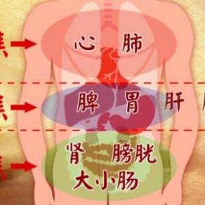 《养生堂》20170925《通调水道补三焦》三仁汤