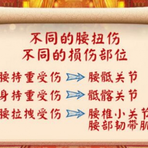 《养生堂》20171005于栋《轻巧柔和畅全身》仙人推碑、推棘突