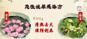 《健康之路》20171021《天生一对养六腑（三）》养六腑之养“小肠”
