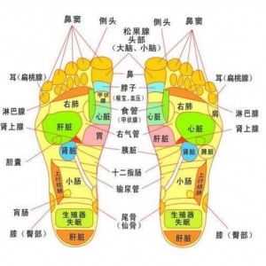 养生先养脚，泡脚加四宝，秋冬不畏老！