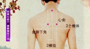 《健康之路》20171104《养好后背活百岁（上）》滚背保健经络法
