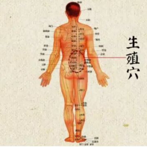 《健康之路》20171107《养好后背活百岁（下）》爬行保健后背经络法