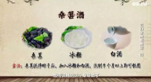 《健康之路》20171204桑葚酒、桑葚粥、桑菊汤、桑花饮、通络饮、桑枝泡洗方、泻白汤