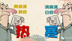《健康之路》20180110张立山、风寒咳嗽、热性咳嗽、生姜苏叶散寒粥
