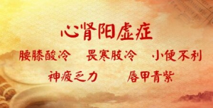《养生堂》20180114补肾的黄金搭档、心肾阳虚症、元阳温润饮、三联法