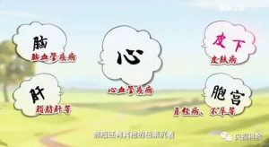 《健康之路》20180203赵慧玲、泻血疗法、提神醒脑操、血瘀、心脑血管疾病