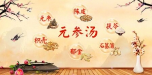 《养生堂》20180213《大医传承之感恩相伴—沈绍功》冠心病、温胆汤、保胎方