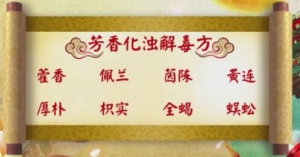 《养生堂》20180320《祛除人体第七邪-2》肿瘤日常调理方、散结攻浊解毒方