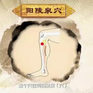 《健康之路》20180320《春天需要壮壮胆》（下）清胆火的6大法宝