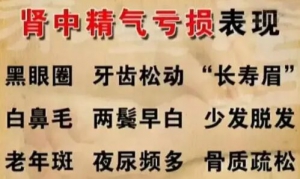 不论男女都需要补肾