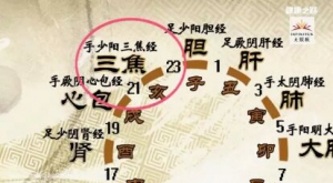 《健康之路》20180329茹凯《调理脏腑五行掌》（下）摸法调肝经