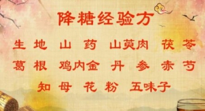 《养生堂》20180527降糖经验方、胃气、神气、脏气、肾气