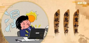 《健康之路》20180720如何对症祛湿、化湿三香、龟苓膏、炒薏苡仁、苍术芝麻粥