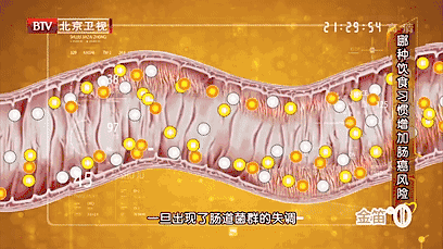 改善便秘，两个事实要了解