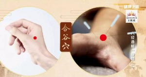 《健康之路》20180731《六经通畅一身轻》（二）脾经、胃经