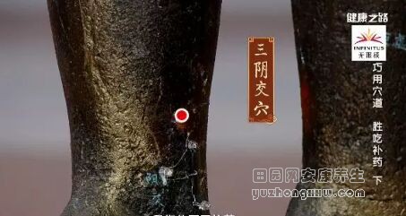 《健康之路》20180817阮志忠《巧用穴道 胜吃补药》（下）