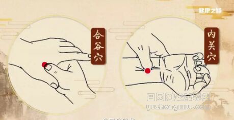 《健康之路》20180825巧护心血管的四大法宝