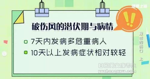 《健康之路》20181101《致命的伤口》（上）破伤风