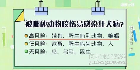 《健康之路》20181102《致命的伤口》（上）狂犬病毒