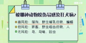 《健康之路》20181102《致命的伤口》（上）狂犬病毒