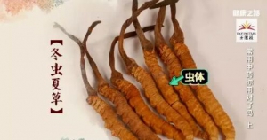 《健康之路》20181107《常用中药你用对了吗？》（上）