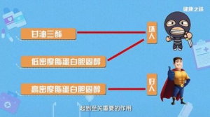 《健康之路》20181123血脂异常、动脉硬化、饮食结构、血管健康