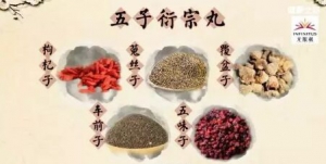 《健康之路》20181210杨志敏《与“子”偕老》（上）长寿的秘诀