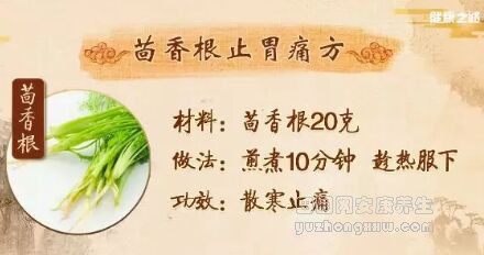 茴香根止胃痛方