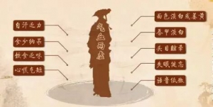 《健康之路》20190104于振宣,气血两虚,五味子酒,美容药酒