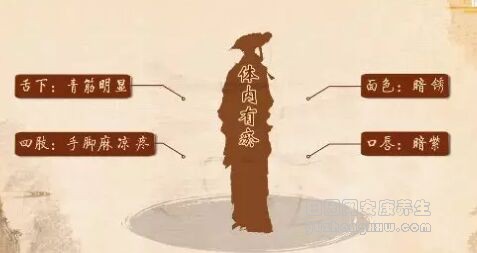 体内有瘀的表现