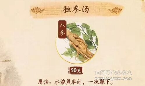 独参汤