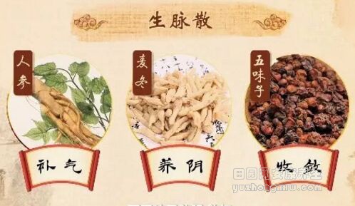 生脉散
