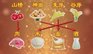 《养生堂》20190223汪红兵,消食,山楂,腹胀,食积,消化不良,枳术丸